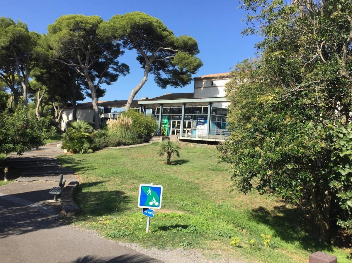 Studio Cosy Au Centre Port Du Cap D'Agde Eksteriør bilde